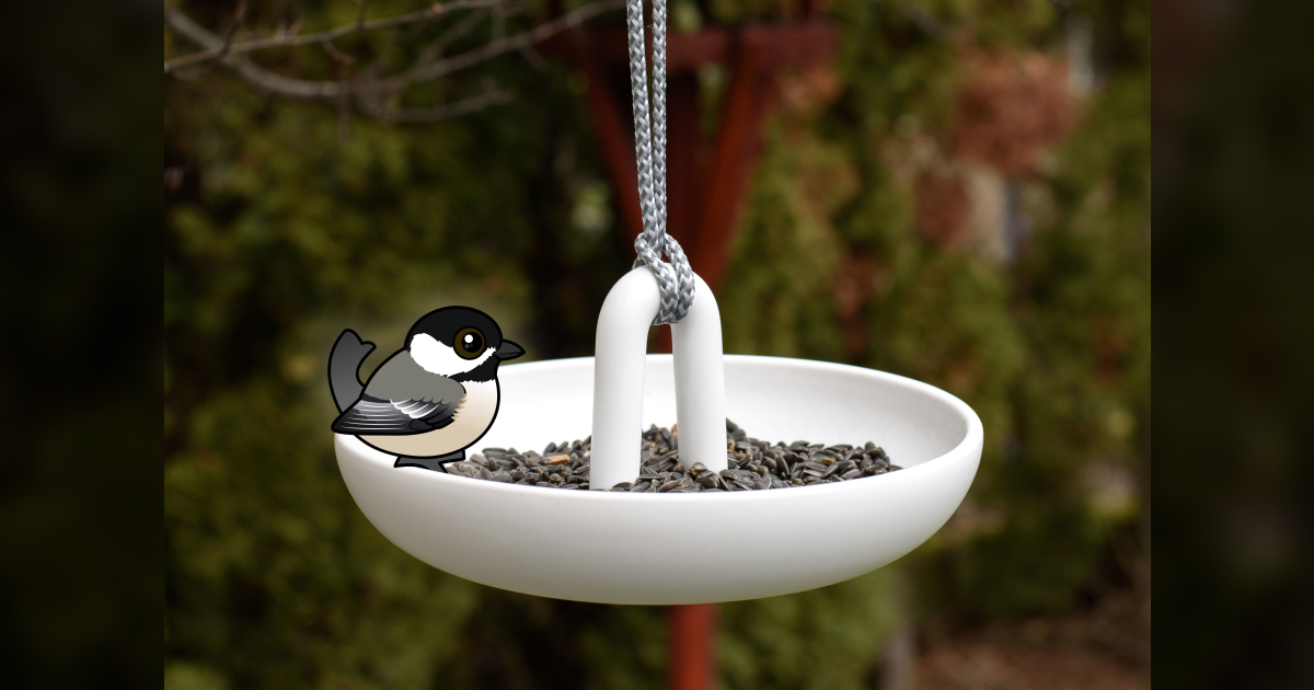 Safe Summer Bird Feeding: Prevent Mold & Attract New Species